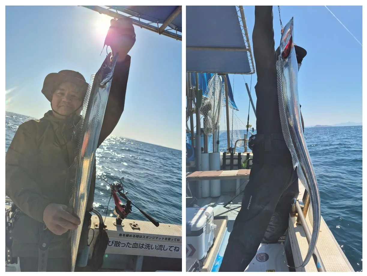 4/8 太刀魚、クログチ、うっかり。|瀬戸内・山口・周南【遊漁船直穂丸】