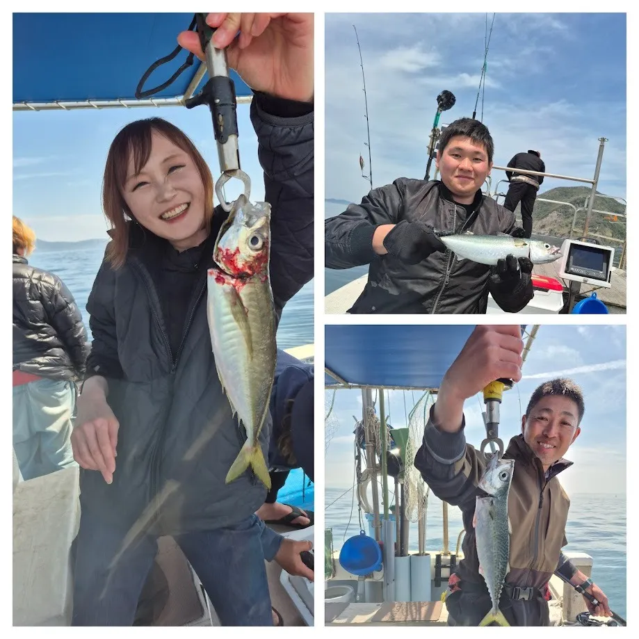 4/12 鯵、鯖、カサゴ。|瀬戸内・山口・周南【遊漁船直穂丸】