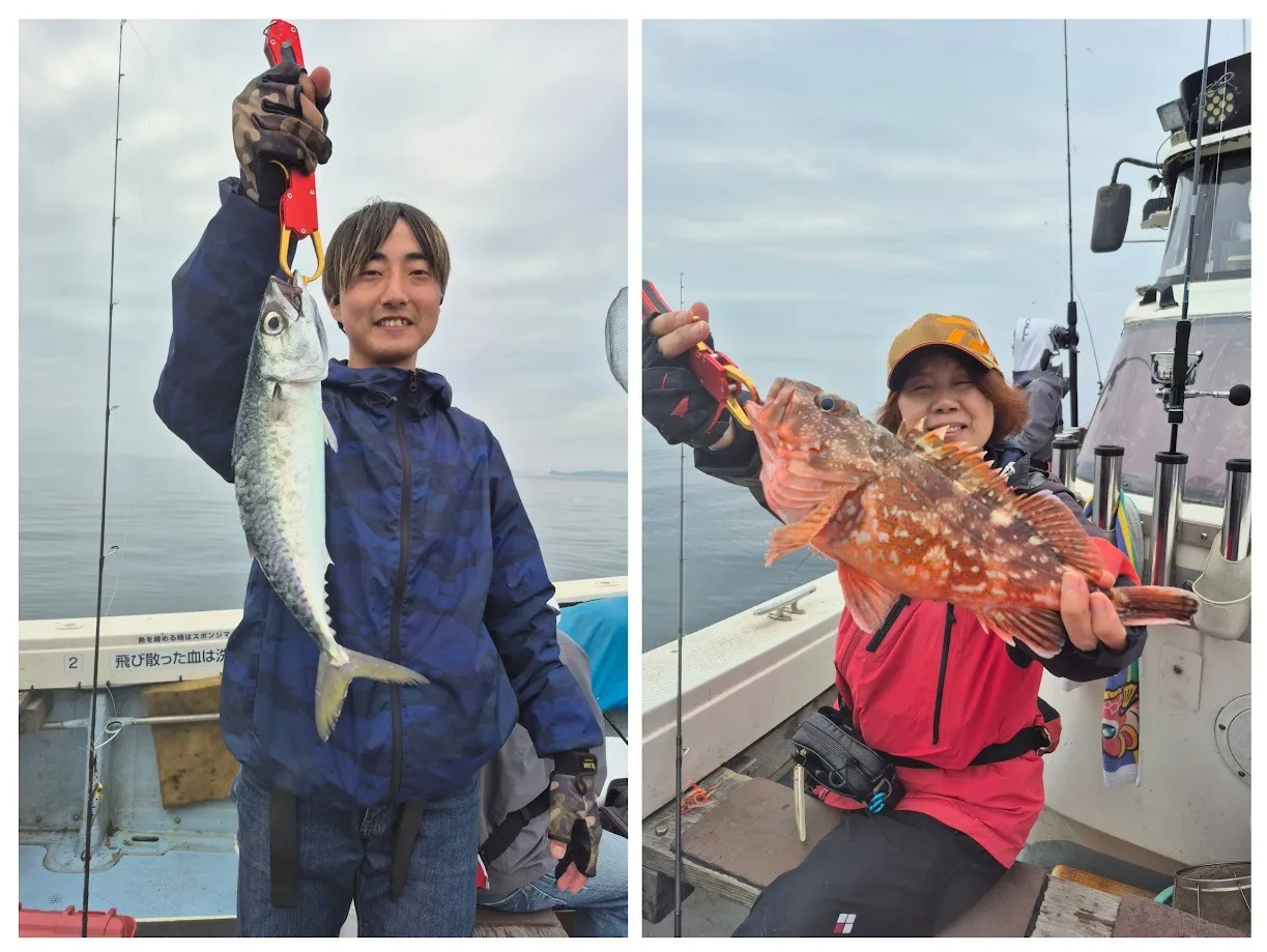 4/13 タイラバ&SLJ。|瀬戸内・山口・周南【遊漁船直穂丸】