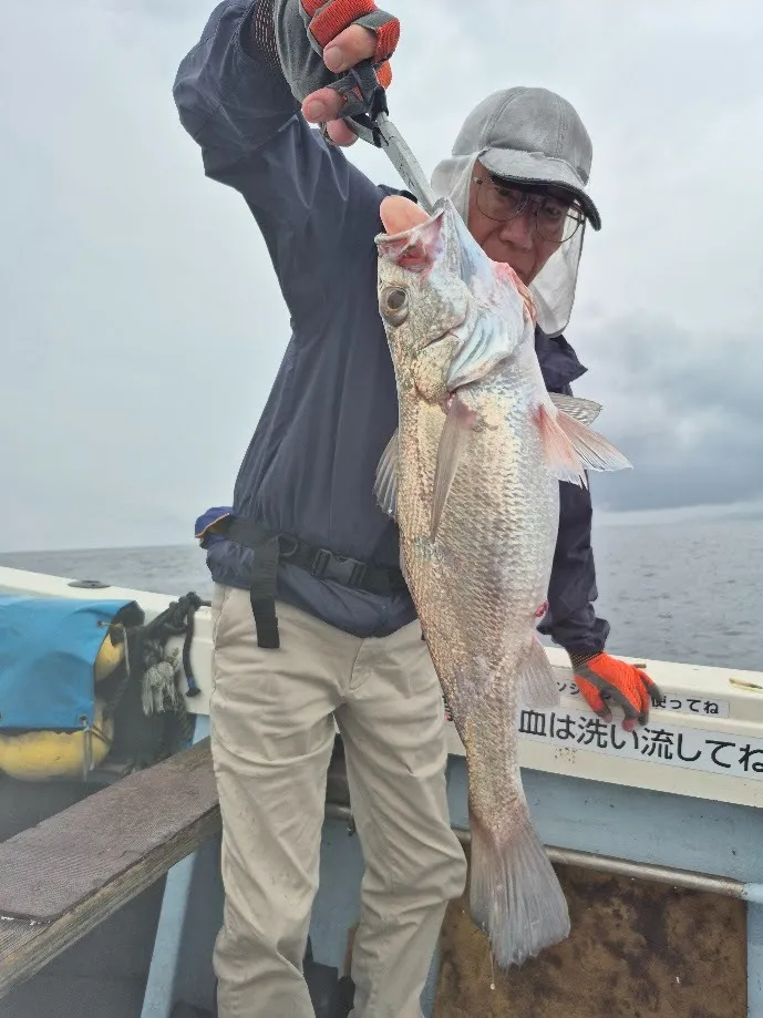 6/9 クログチ釣り。|瀬戸内・山口・周南【遊漁船直穂丸】
